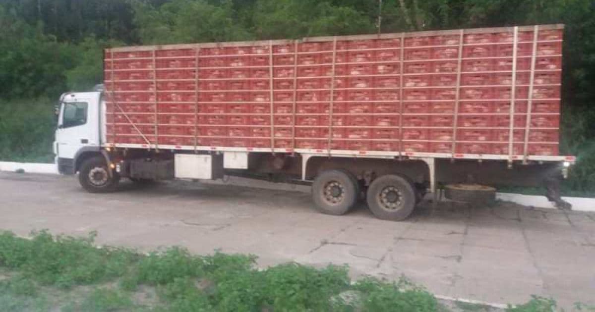 Eunápolis: PRF flagra homem transportando quase 6 mil aves sem autorização
