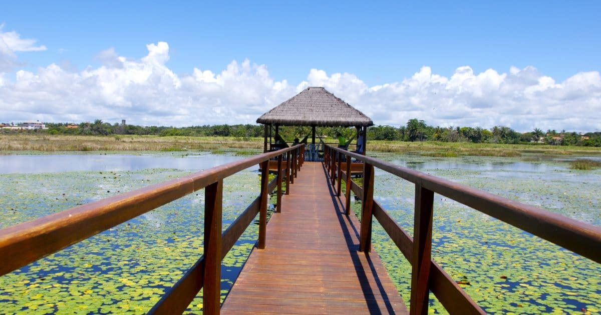 Camaçari: Vila Galé terá de limpar área de lagoa em Guarajuba