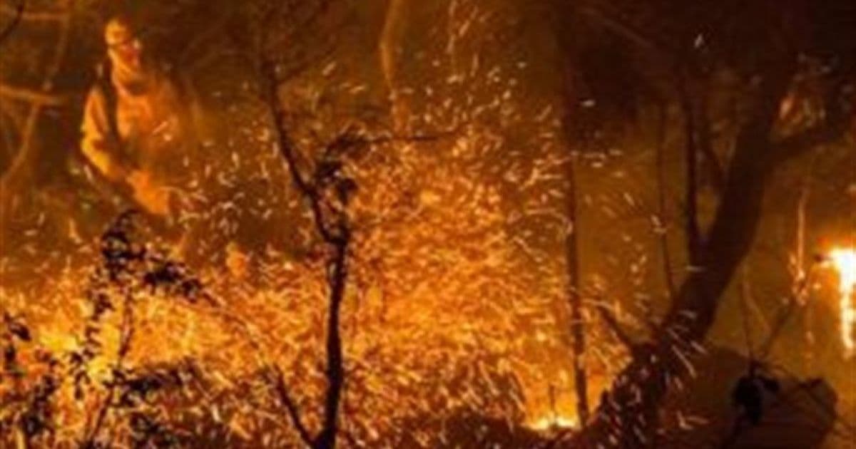 Incêndio criminoso queima mais de 7 hectares de cana da Agrovale