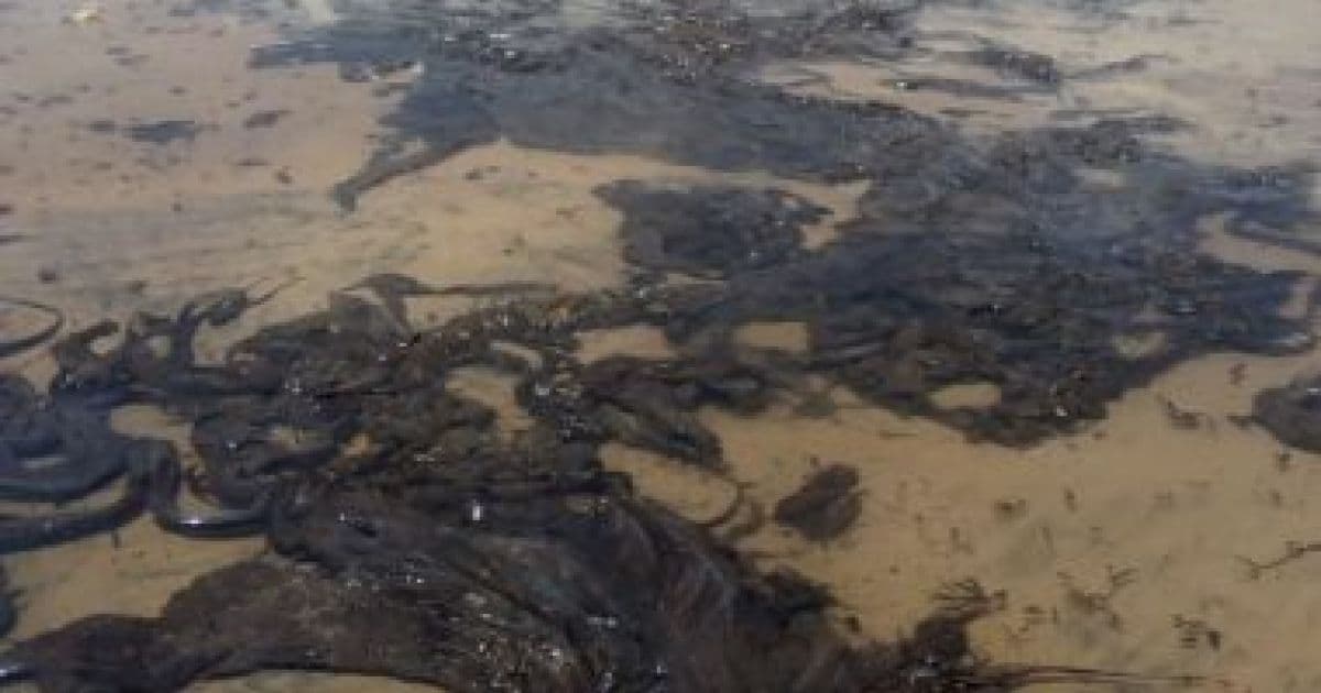 Quinze municípios baianos têm decreto de emergência devido às manchas de óleo
