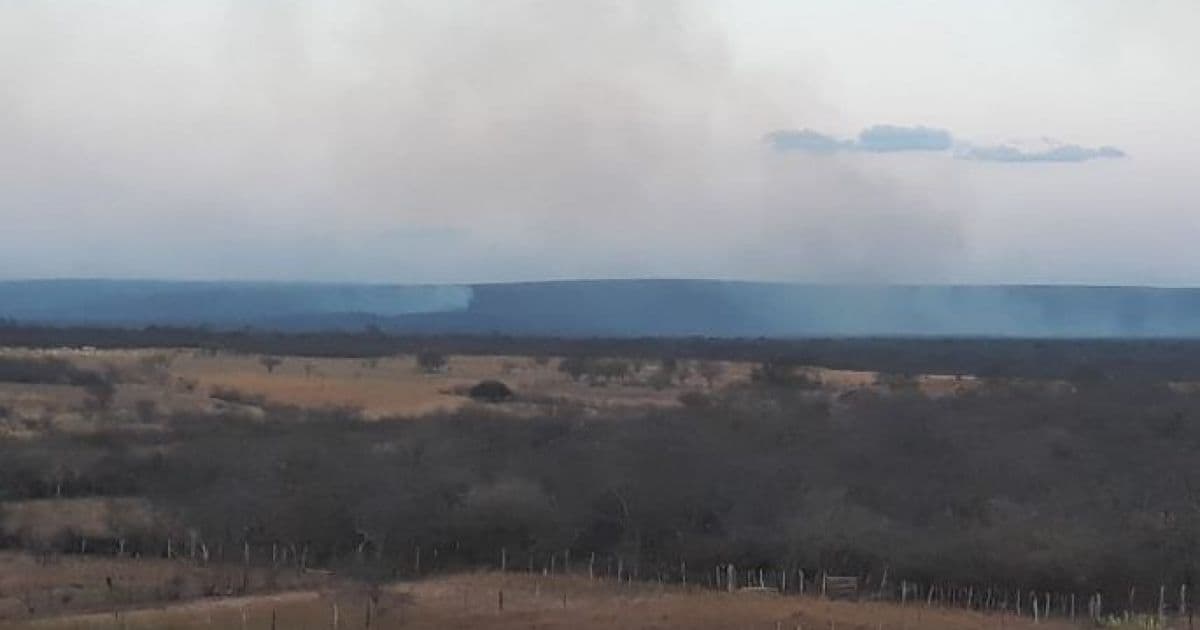Incêndios atingem vegetação em Mulungu do Morro e Buritirama