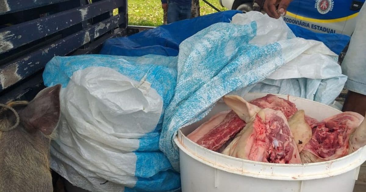 Carga com 140 Kg de carne clandestina transportada em caminhão sem refrigeração é apreendida no sul da BA