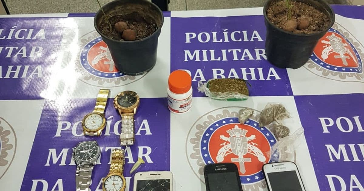Paulo Afonso: Polícia prende suspeito de tráfico com dois pés de maconha em casa