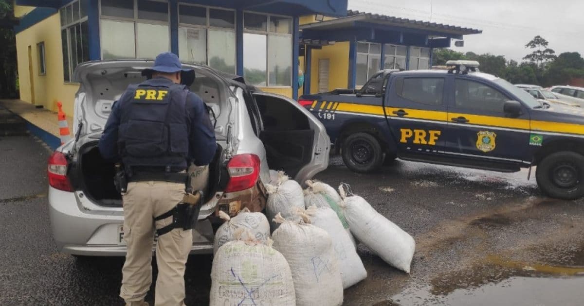 Casal é preso em Alagoinhas com carro furtado 'entupido' de maconha; veja vídeo