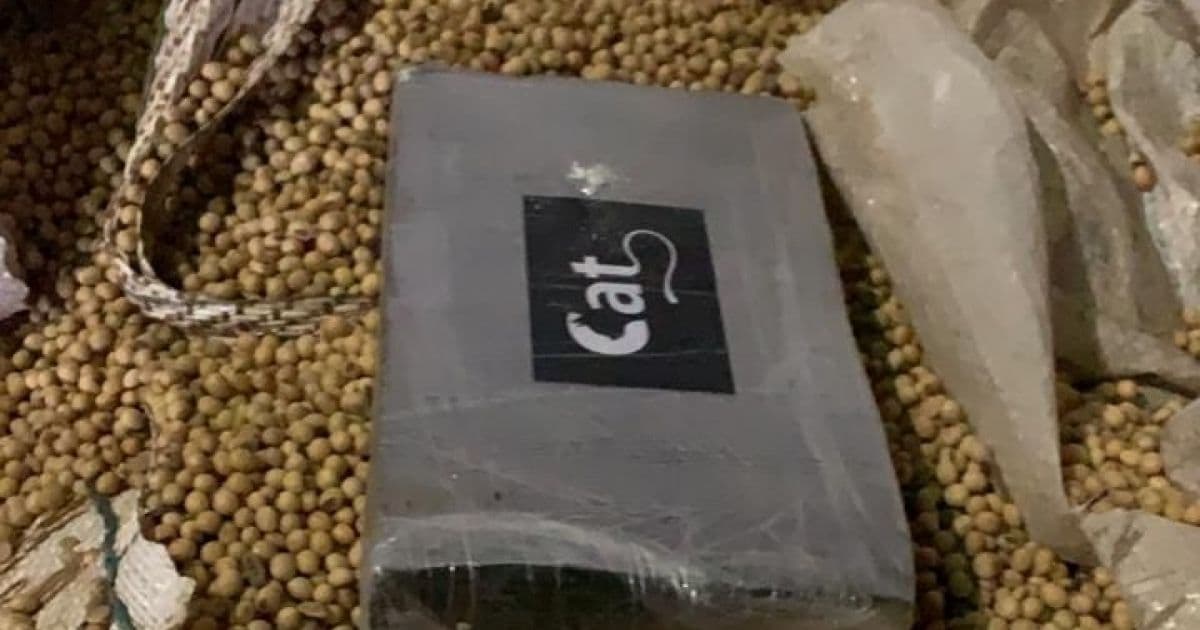 Polícia apreende 200 kg de cocaína em carga de soja; droga seguiria para Holanda