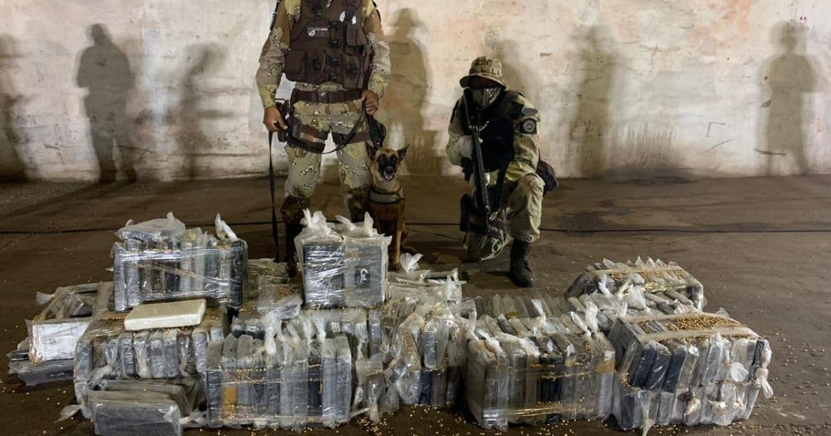 Cocaína escondida em carregamento de soja ultrapassa 2 toneladas, diz SSP