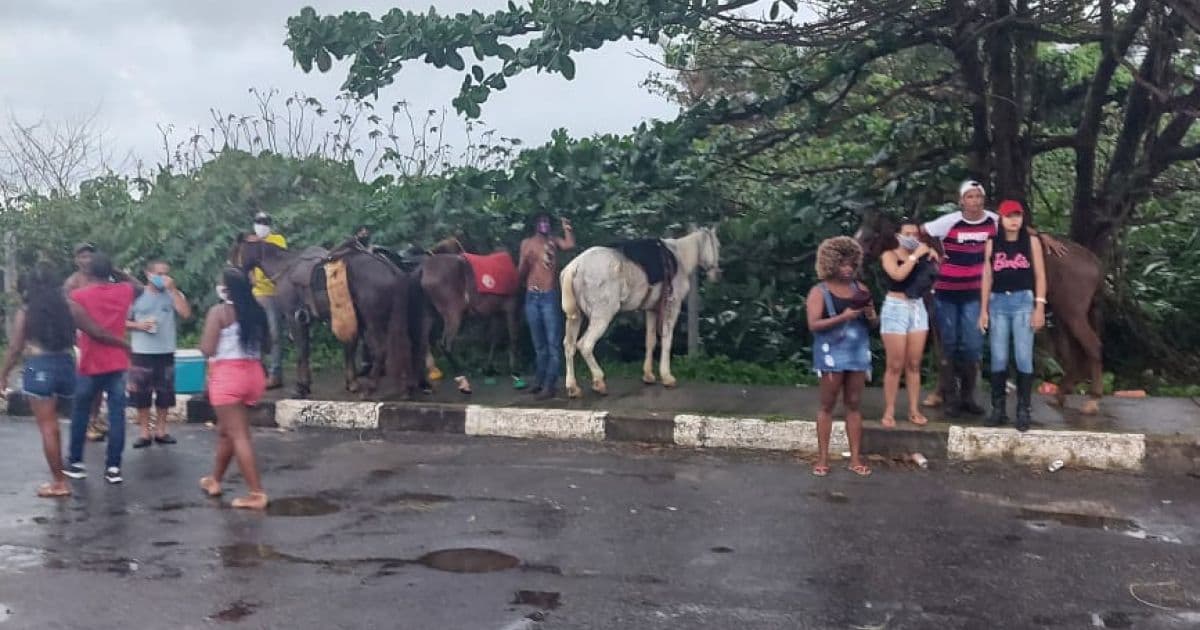 Lauro de Freitas: PM encerra aglomeração que participaria de corrida ilegal de cavalos