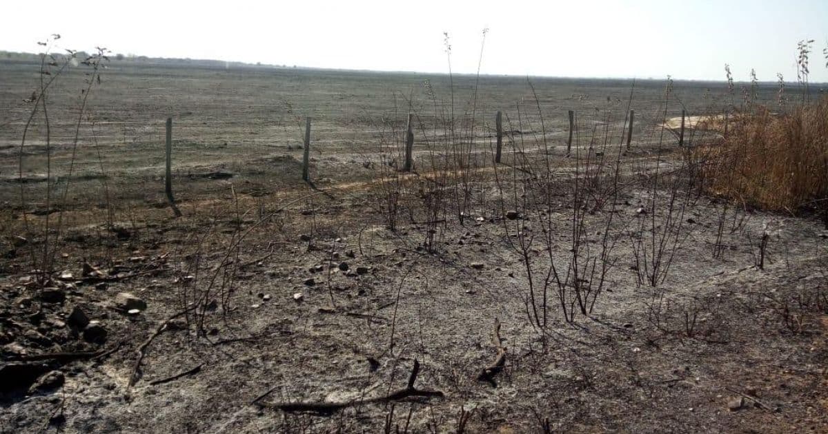Barra: Incêndio atinge pelo menos 1 mil hectares e já dura quase 8 dias 
