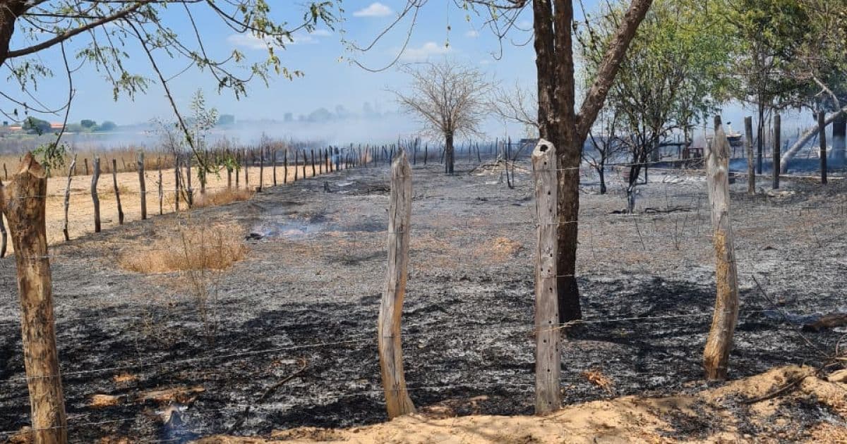 Barra: Incêndio varre localidade perto de zona urbana; fogo já atingiu cerca de 1,5 mil ha