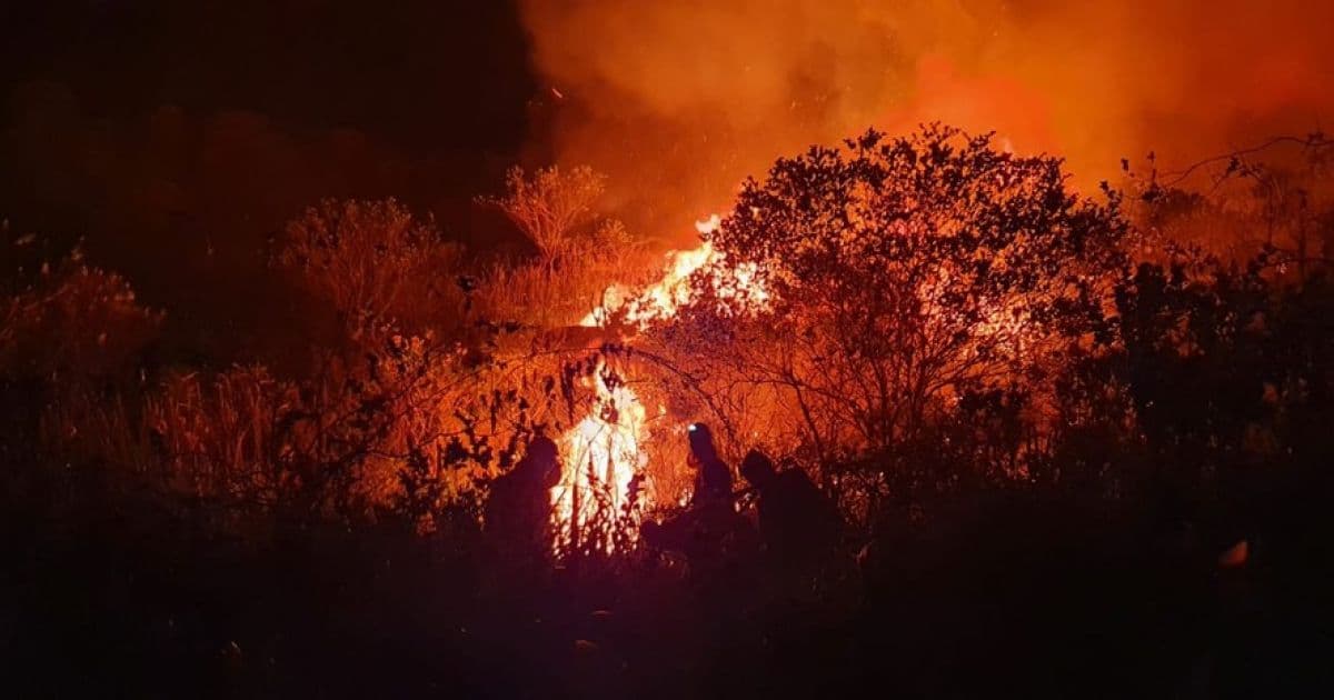 Andaraí: Fogo atinge área florestal e chamas chegam perto de Mucugê