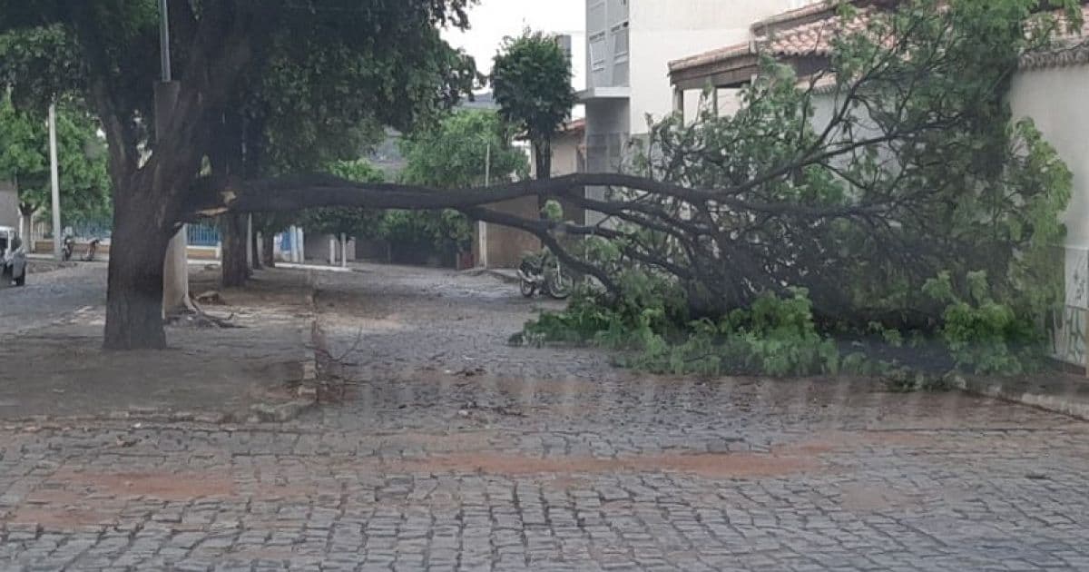 Brumado: Temporal alaga ruas e derruba árvores em cinco bairros