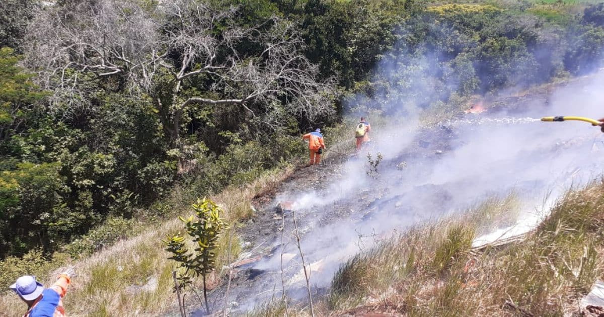 RMS: Incêndio atinge cerca de 1 km de vegetação nativa em Camaçari
