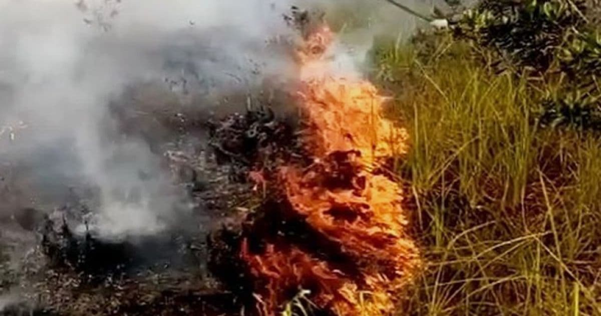 Una: Incêndio atinge área de vegetação e chamas chegam próximas à pista de pouso