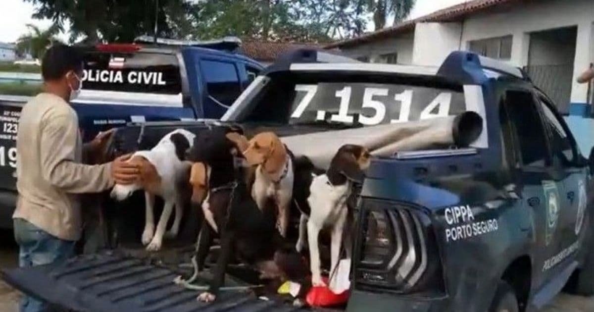 Eunápolis: Homens são presos após suspeita de maus-tratos contra cães 