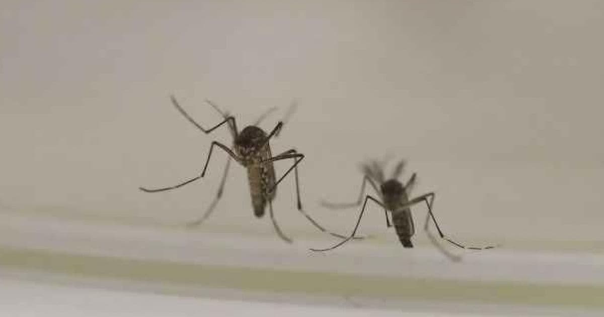 Itabela: Sesab já confirma 42 casos de malária; quase 200 exames serão analisados