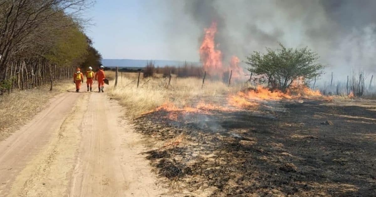 Ibotirama: Agentes seguem tentando controlar incêndio na zona rural; fogo começou na terça  