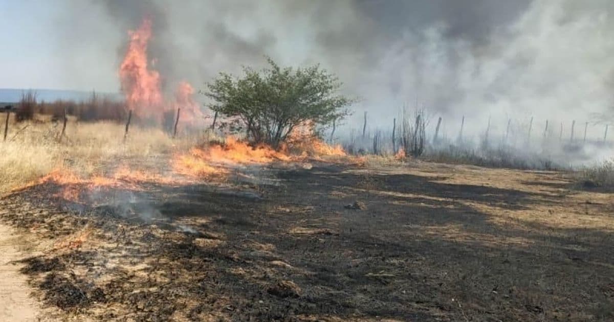 Ibotirama: Incêndio em vegetação já dura três dias; Bombeiros seguem no local 
