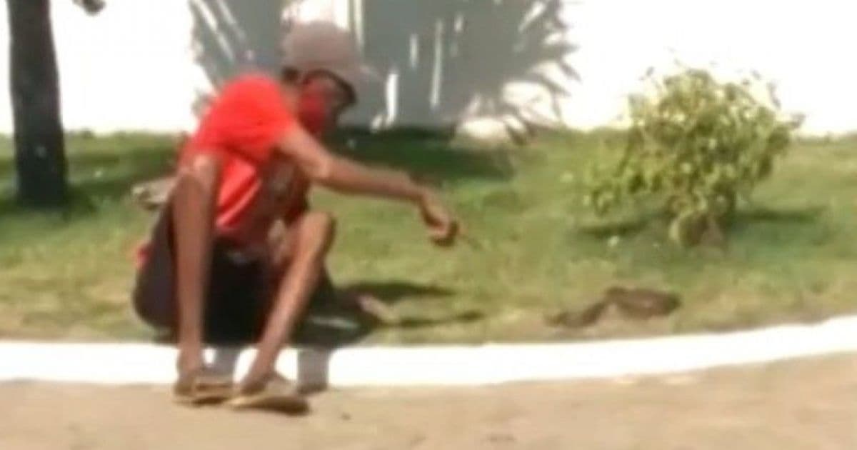 Recôncavo: Após tentar beijar cobra, homem é picado e leva animal para  UPA 