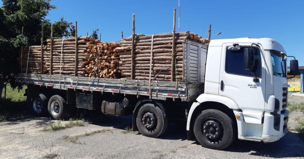 Capim Grosso: PRF apreende carga de madeira ilegal em trecho da BR-324