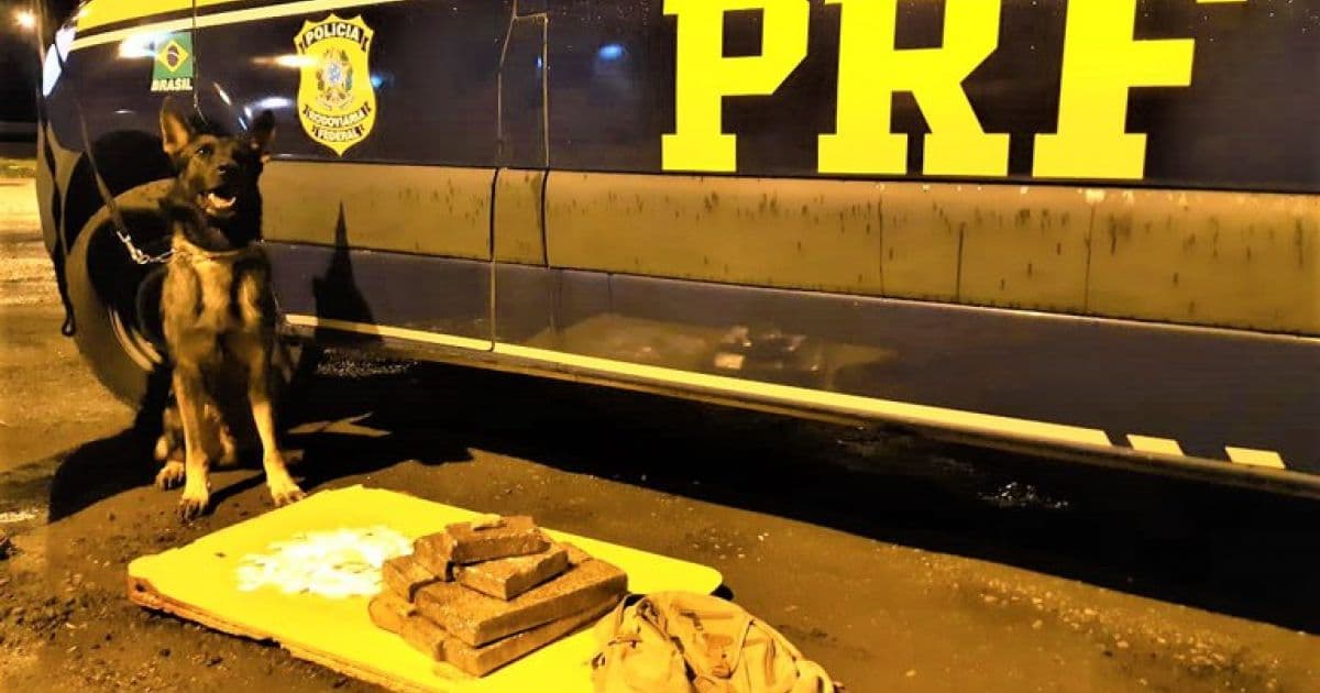 PRF prende mulher em ônibus com 215 ‘papelotes’ de cocaína e maconha na BR-116