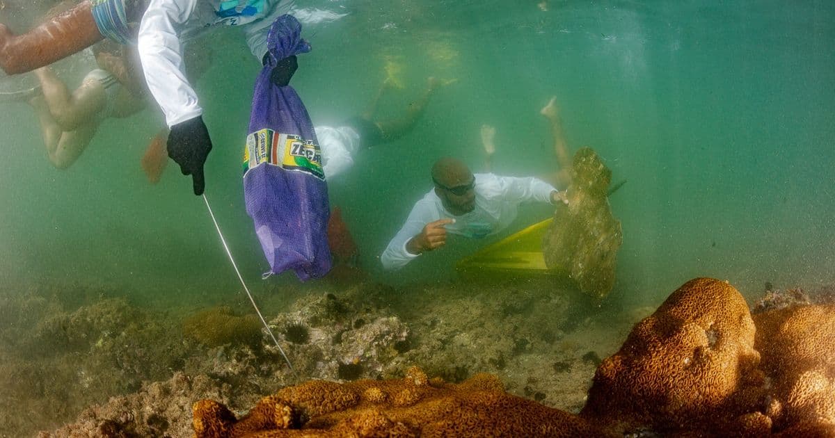 Maraú: Mergulhadores do projeto Paramana Nature vão coletar resíduos do mar