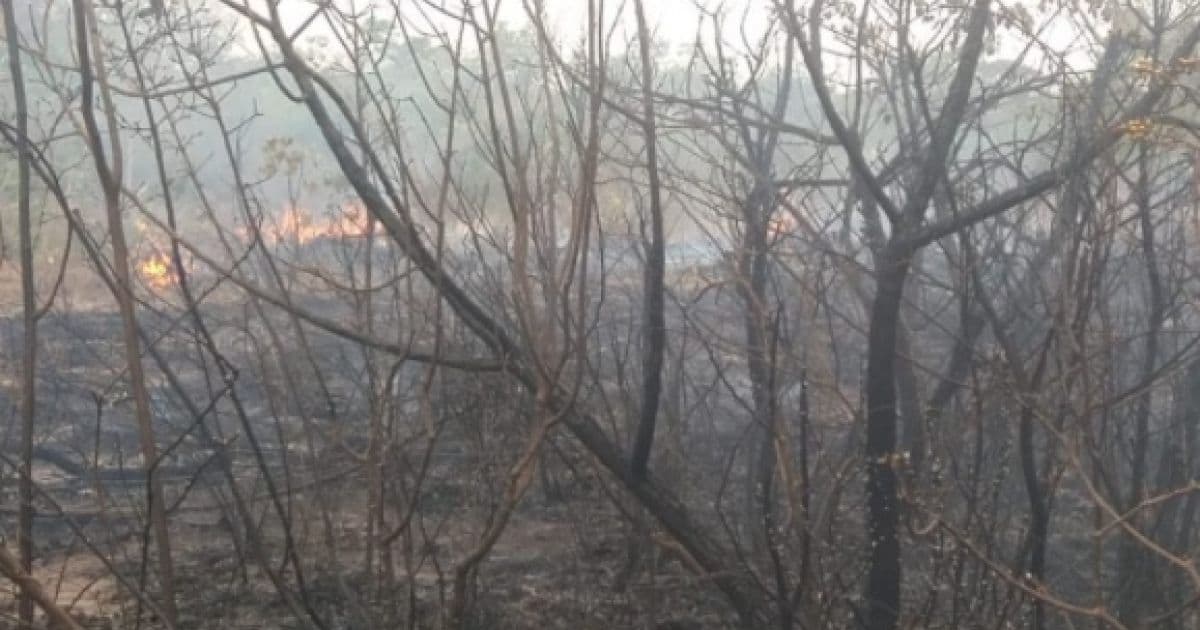 Formosa do Rio Preto: Fogo consome mais de 2 mil hectares; fazenda de ex-governador é atingida