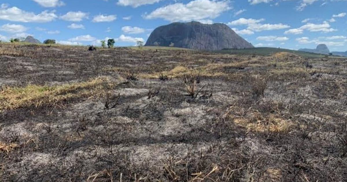 Guaratinga: Investigação é aberta após incêndio que atingiu 30 hectares