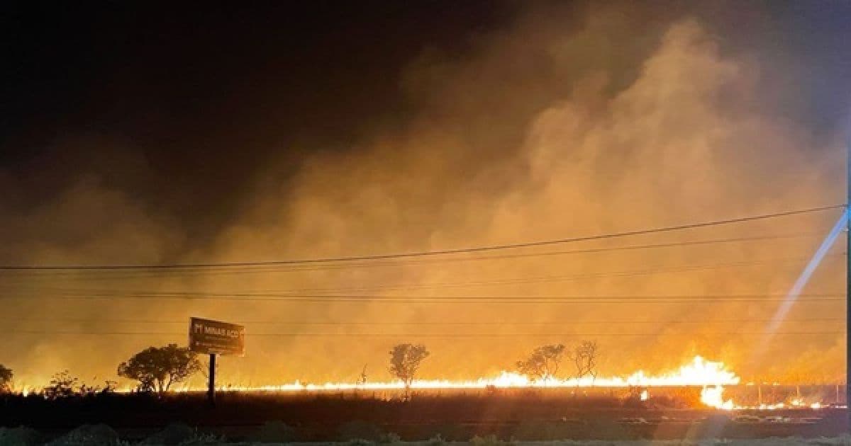 Quase 90% de queimadas na Bahia se concentram no Cerrado