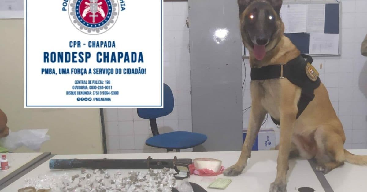 Itaberaba: Policiais apreendem 57 porções de drogas com ajuda de cão farejador