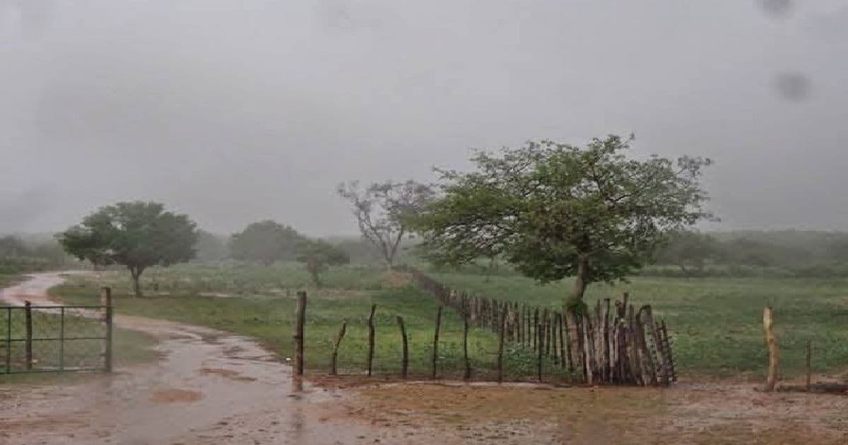 Chuvas alagam ruas em Valente, Central, Juazeiro, Barreiras e Camamu
