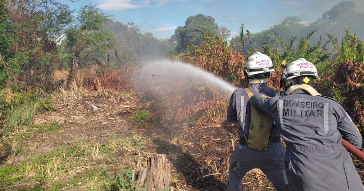 Paulo Afonso: Bombeiros debelam incêndio na caatinga após morador atear fogo em madeira