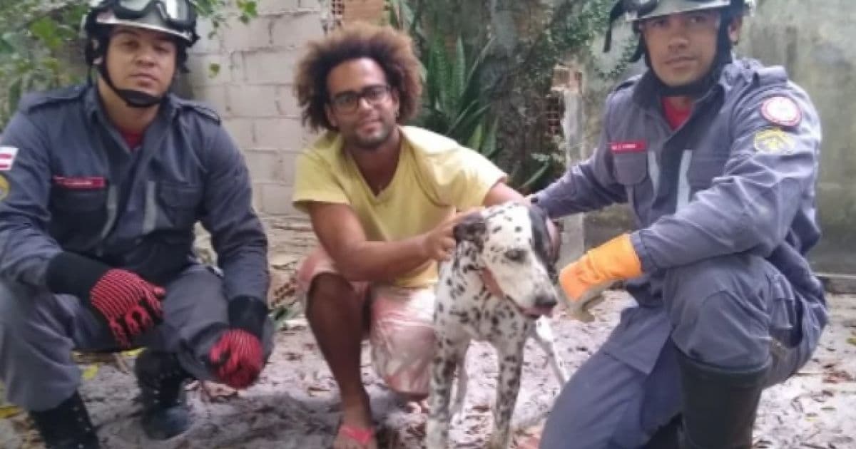 Porto Seguro: Cachorro cego se perde durante chuva e é resgatado após ficar preso em muro