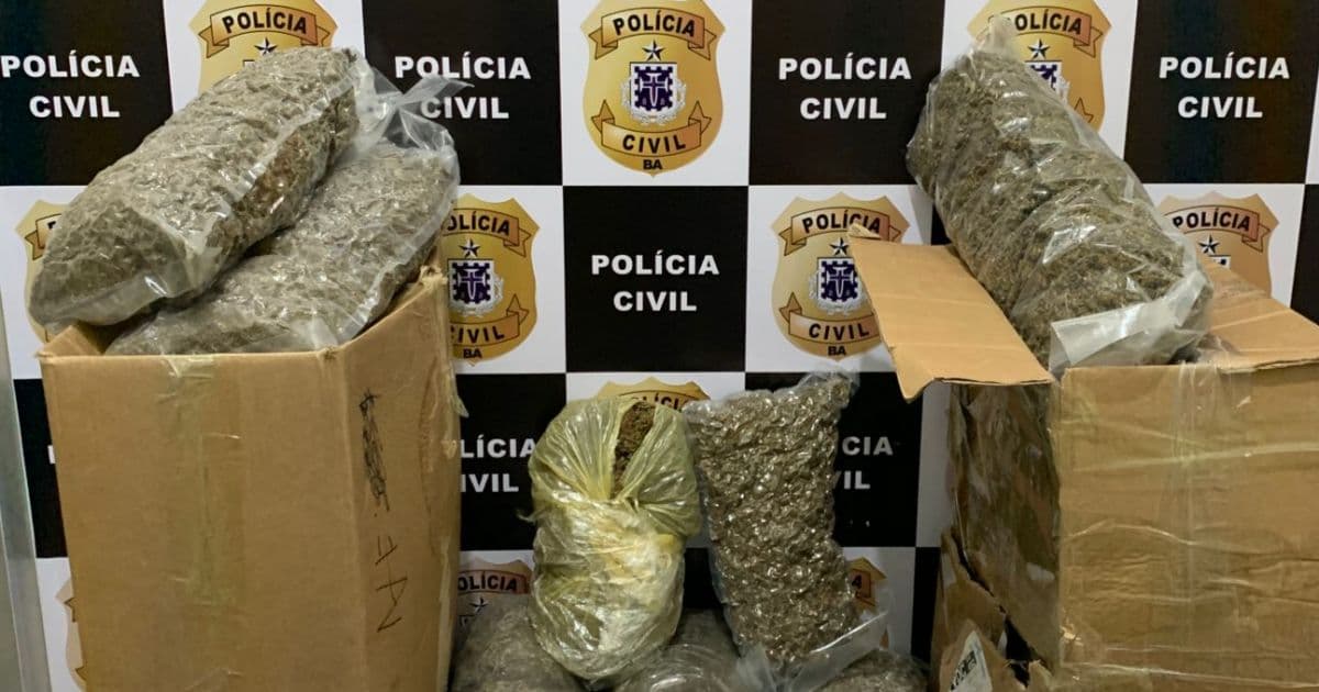 Conquista e Jequié: Polícia apreende mais de 20 kg de maconha enviados por transportadora