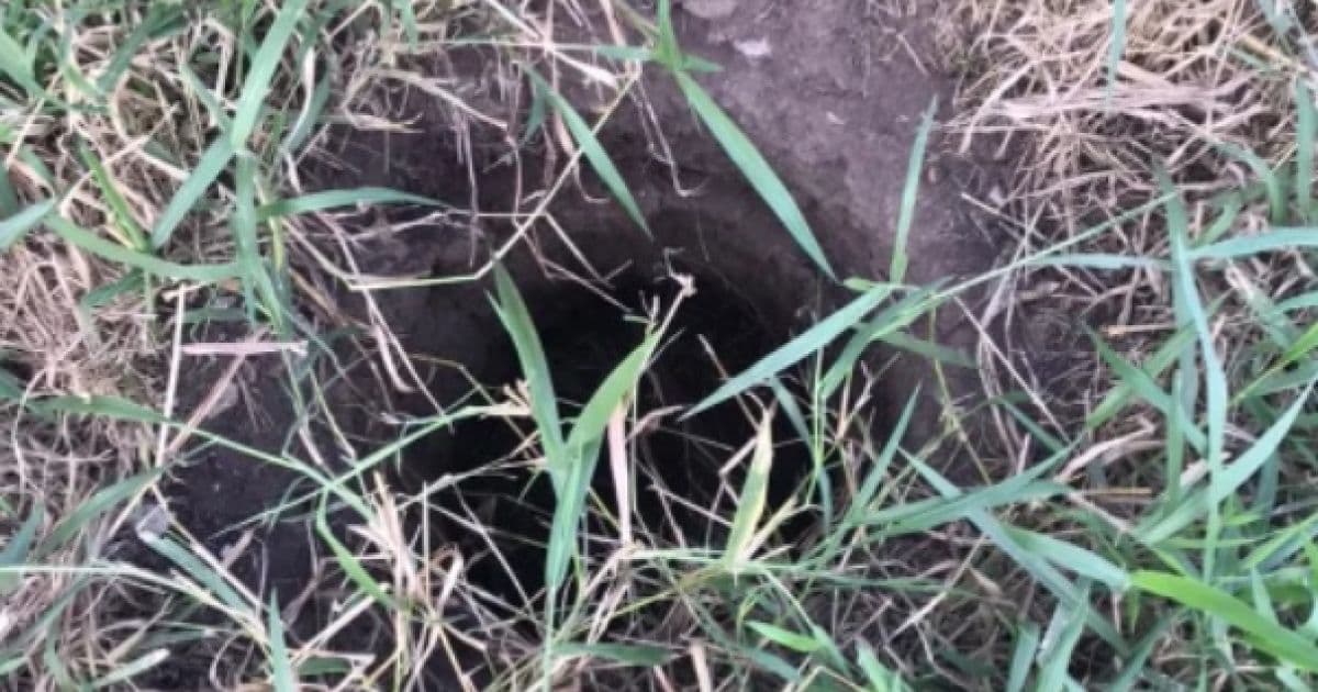 Santo Estevão: Criança é encontrada viva após passar dois dias dentro de buraco