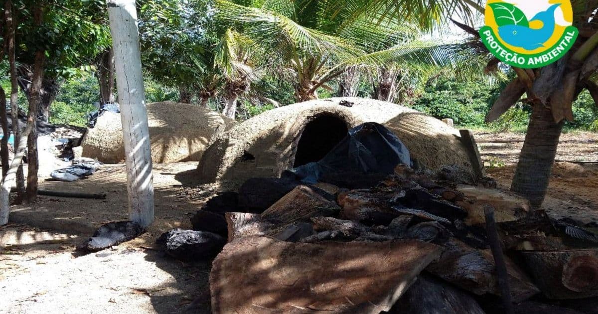 Santa Cruz Cabrália: Fornos clandestinos para produção de carvão são destruídos