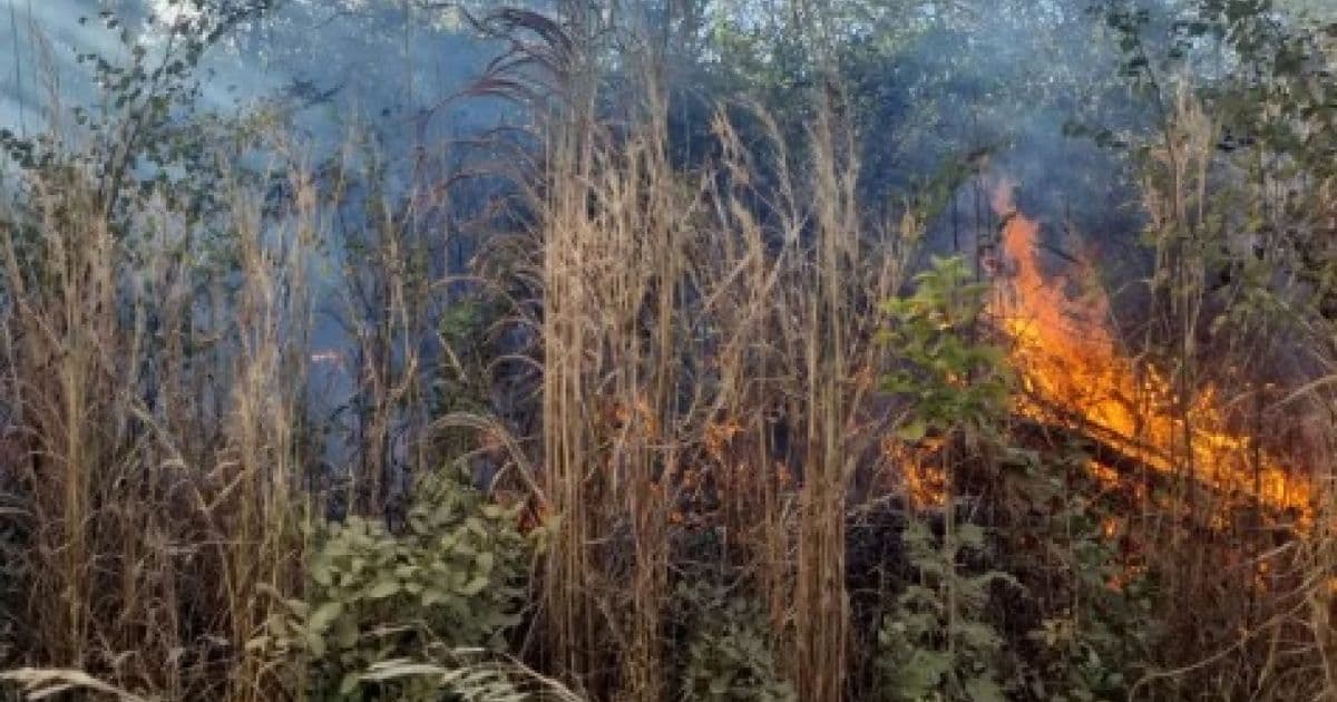 São Desidério: Após 18 h, fogo é extinto em fazenda de distrito de Roda Velha