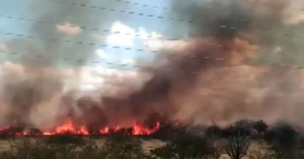 Juazeiro: Incêndio atinge vegetação perto de rodovia