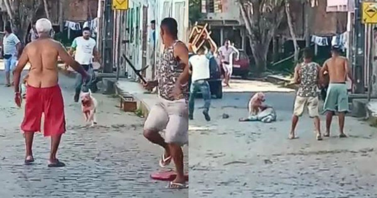 Gandu: Homem sofre ataque de cão pitbull no meio de rua