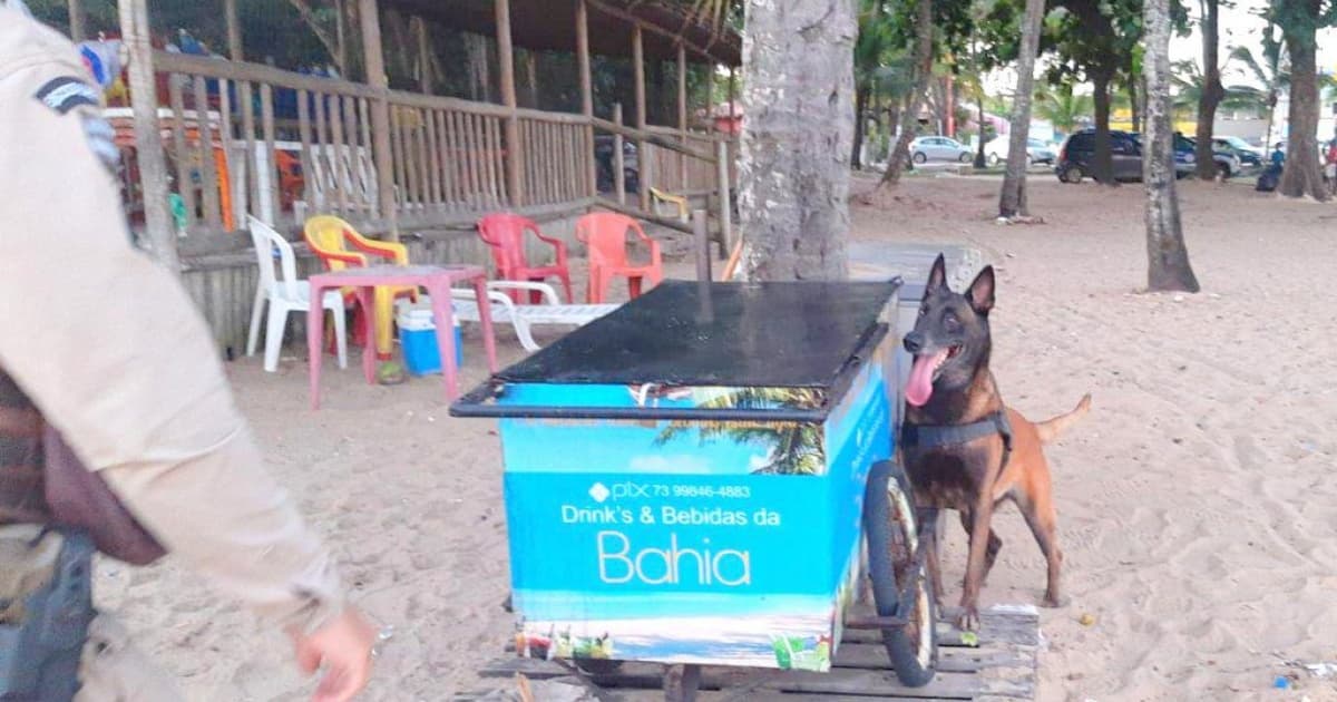 Porto Seguro: Cão da Polícia Militar descobre drogas em carrinho de bebidas na praia