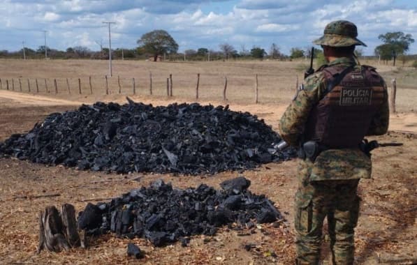 Polícia destrói fornos irregulares e apreendem carvão ilegal no Oeste baiano