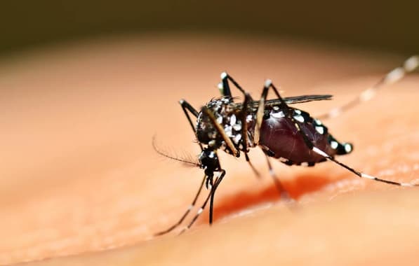 Prefeitura de Feira decreta estado de alerta por considerar grave situação da dengue