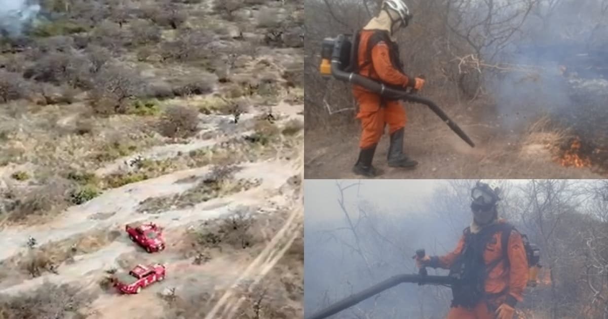 Incêndio em zona rural de Juazeiro já passa de 48h; bombeiros e brigadistas continuam em local