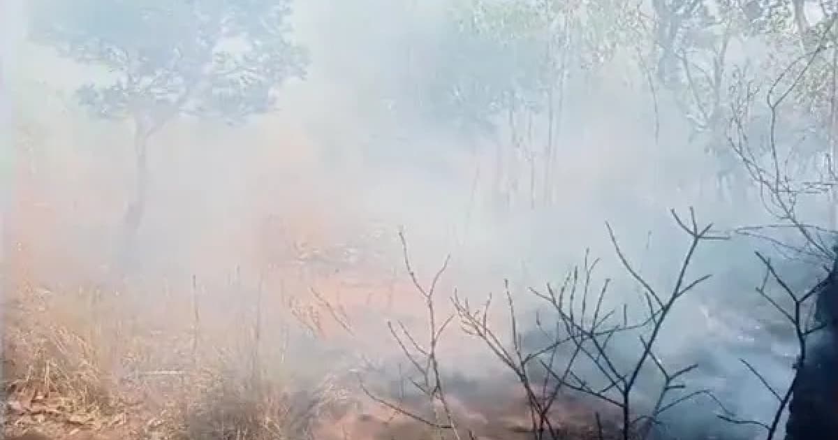 Incêndio florestal se espalha e atinge vegetação da Serra do Mimo