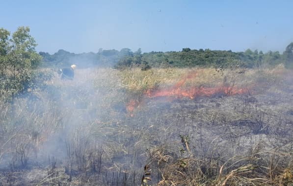 Incêndio atinge área de mata atlântica em Parque Nacional Monte Pascoal