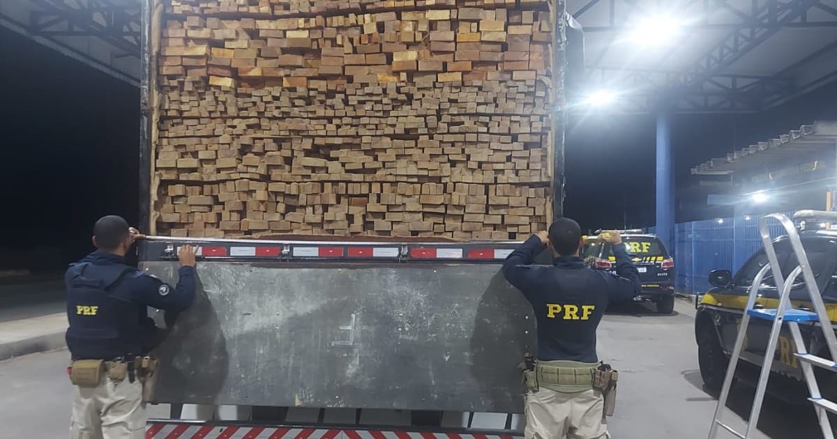 PRF apreende quase 40 m³ de madeira transportada de forma ilegal pela Bahia