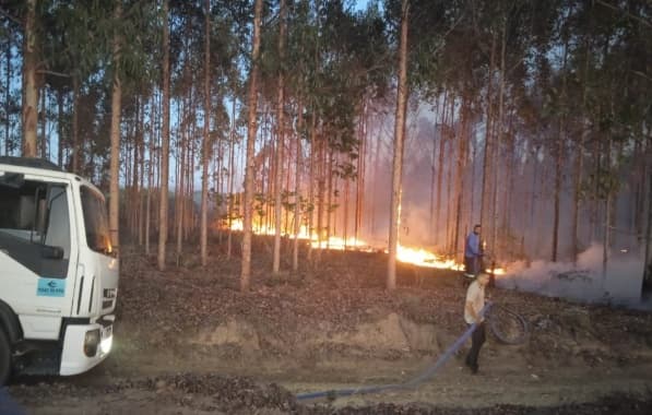 Incêndios seguem ativos em Morro do Chapéu; situação se agravou nas duas últimas semanas