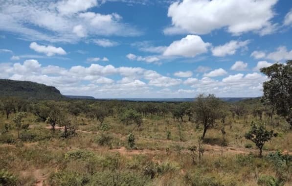 Município baiano lidera desmatamento no Cerrado em janeiro; bioma registra melhora na conservação 