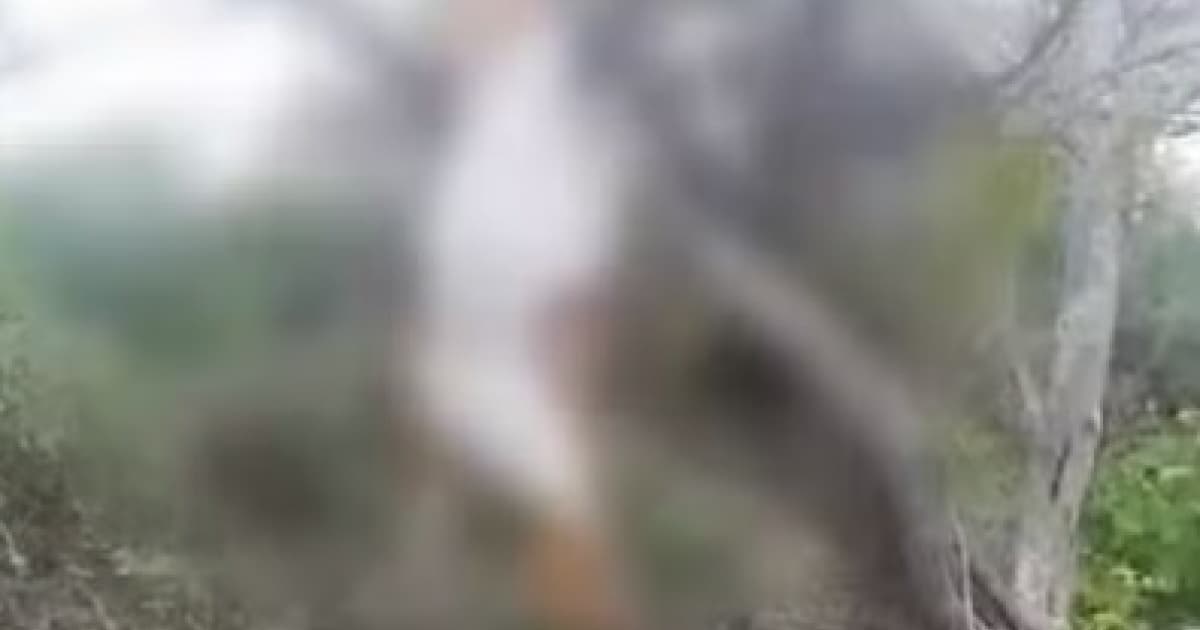 Cabras aparecem mortas após enxurradas no Norte baiano
