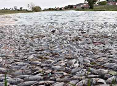 Anguera: Peixes aparecem mortos em lagoa