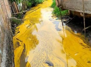 Nazaré: Derramamento de azeite polui rio Jaguaripe; empresa é acusada